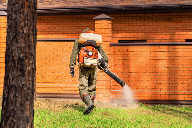 Bed Bug Clearance Verification and Documentation in Kahaluu